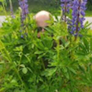 Meet your Posher, Thurston